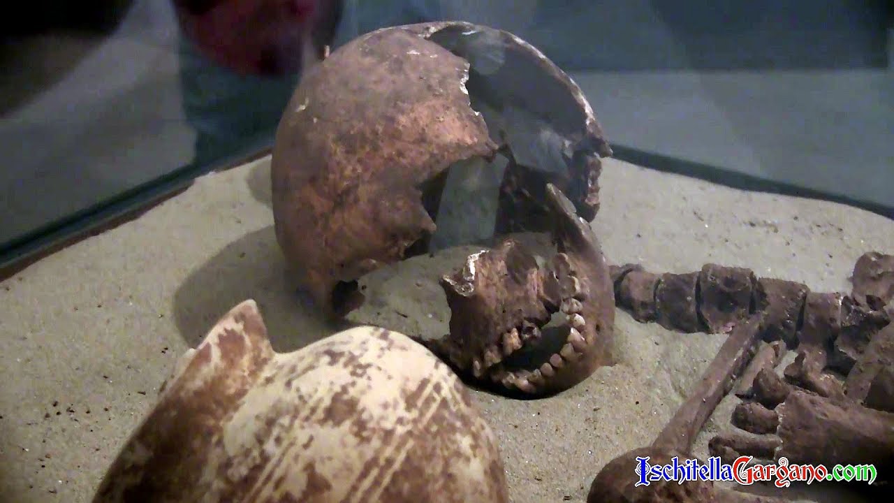 “Monte Civita” presentato il catalogo del museo archeologico di Ischitella “Monte Civita” presentato il catalogo del museo archeologico di Ischitella