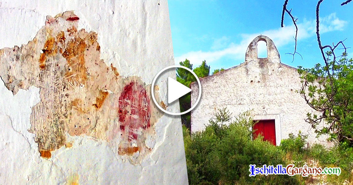 Vico del Gargano, scoperti affreschi nella chiesetta della Madonna delle Grazie (VIDEO) Vico del Gargano, scoperti affreschi nella chiesetta della Madonna delle Grazie (VIDEO)