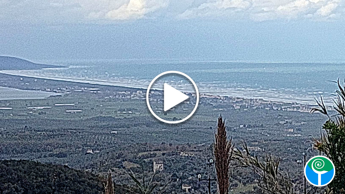 Tempesta di pioggia e vento colpisce il Gargano, allerta della Protezione Civile Tempesta di pioggia e vento colpisce il Gargano, allerta della Protezione Civile