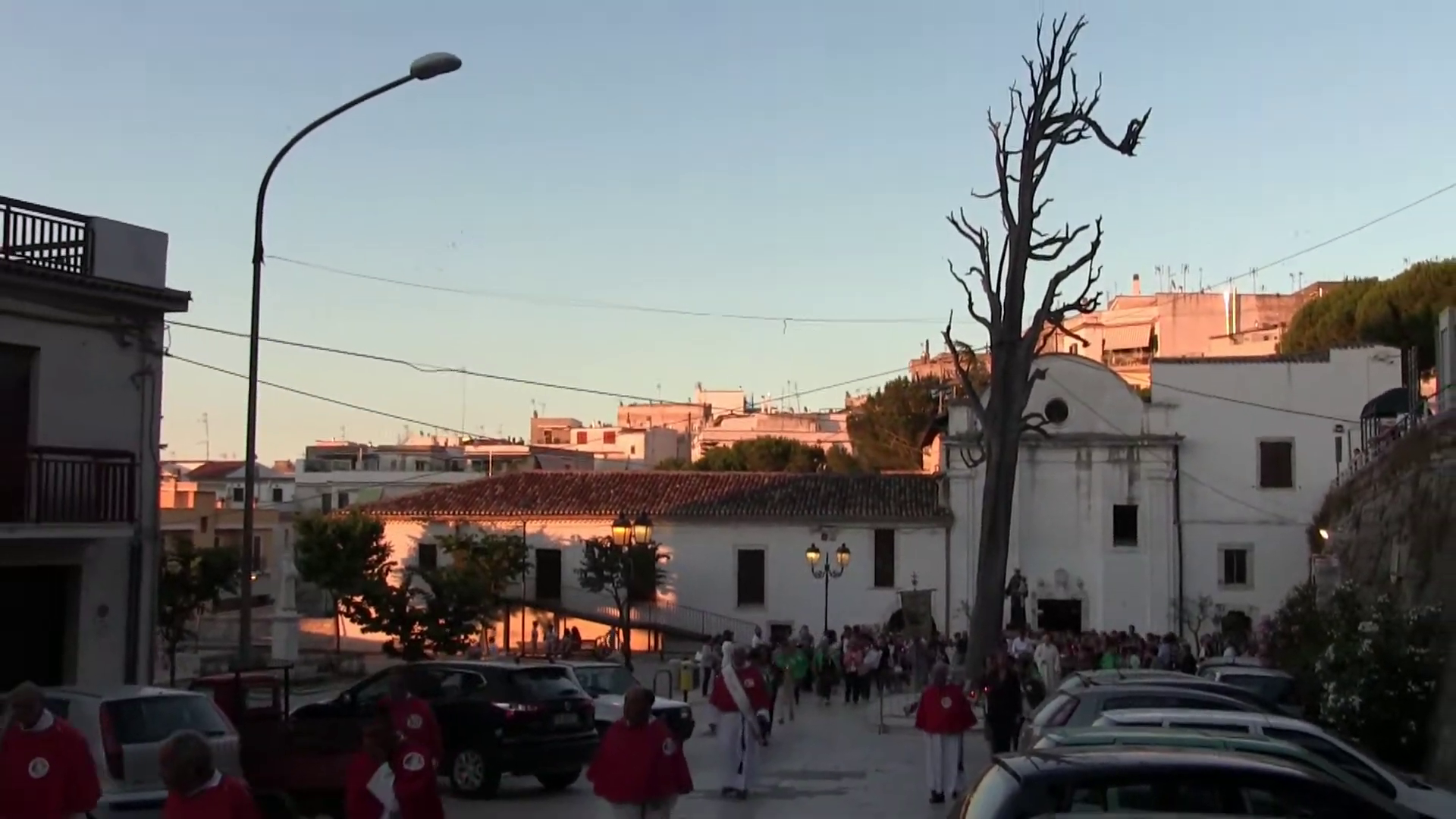 Ischitella, messa in sicurezza del Cipresso di San Francesco: finanziati 52mila euro Ischitella, messa in sicurezza del Cipresso di San Francesco: finanziati 52mila euro