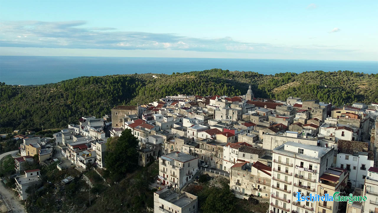Ischitella, la forestazione del Consorzio di Bonifica del Gargano porta risultati concreti e entusiasma il WWF Foggia Ischitella, la forestazione del Consorzio di Bonifica del Gargano porta risultati concreti e entusiasma il WWF Foggia