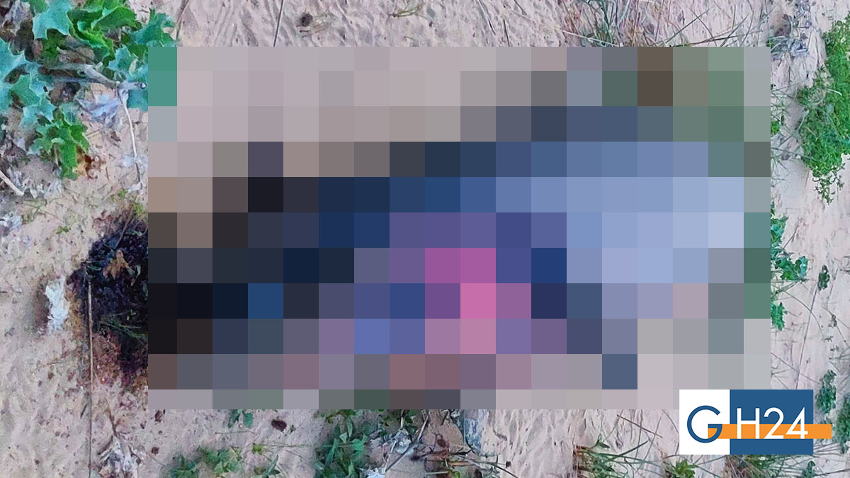 Triste ritrovamento nel giorno di Pasqua: spiaggiato un delfino Triste ritrovamento nel giorno di Pasqua: spiaggiato un delfino