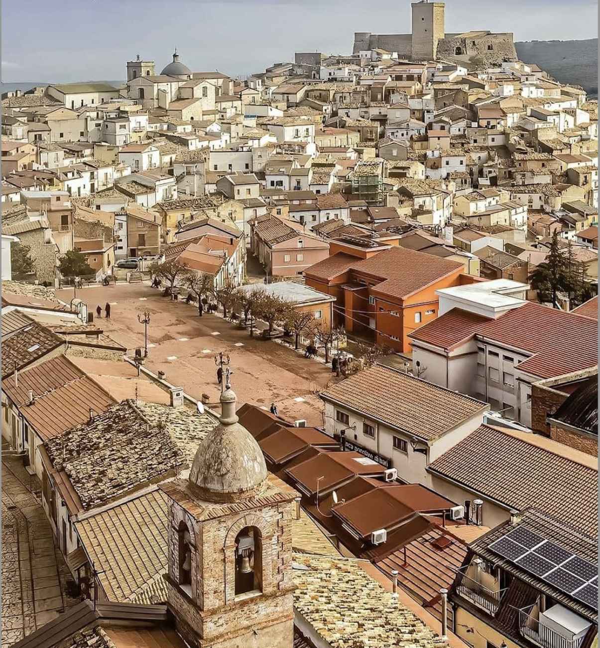 Deliceto diventa “Città dell’Olio” Deliceto diventa “Città dell’Olio”