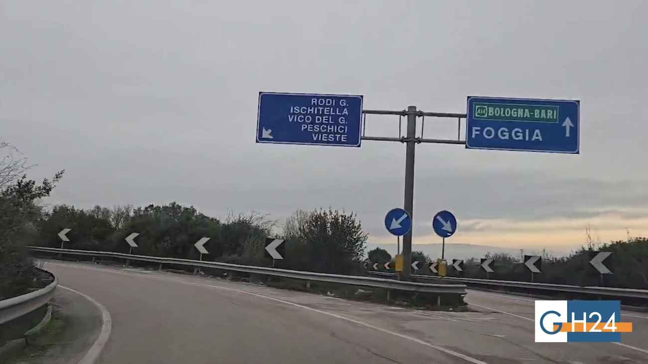 Attenzione parlamentare sui cinghiali sulla SS 693: Consiglieri del Gargano soddisfatti Attenzione parlamentare sui cinghiali sulla SS 693: Consiglieri del Gargano soddisfatti