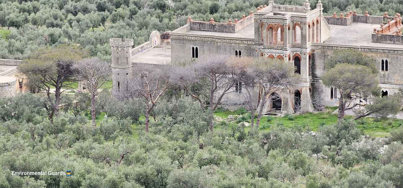 Villa Rosa a Manfredonia: scoperte una decina di alberi di pino morti Villa Rosa a Manfredonia: scoperte una decina di alberi di pino morti
