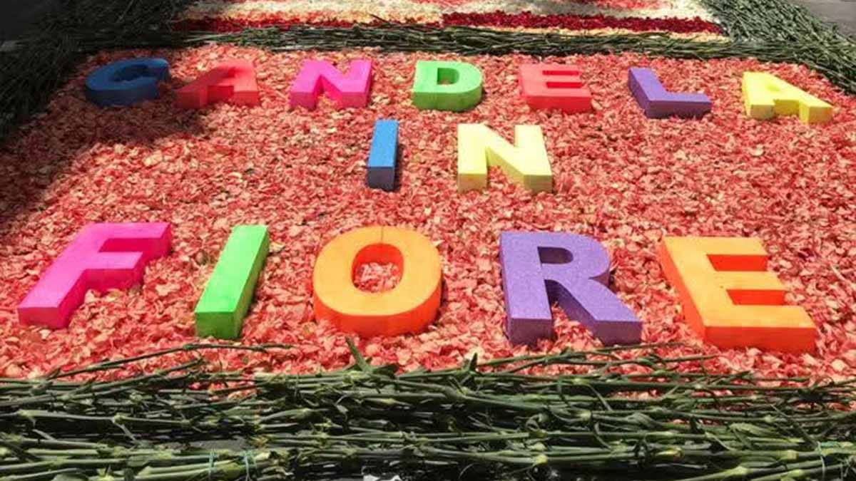 “Candela in Fiore” torna con grandi novità e iniziative collaterali “Candela in Fiore” torna con grandi novità e iniziative collaterali