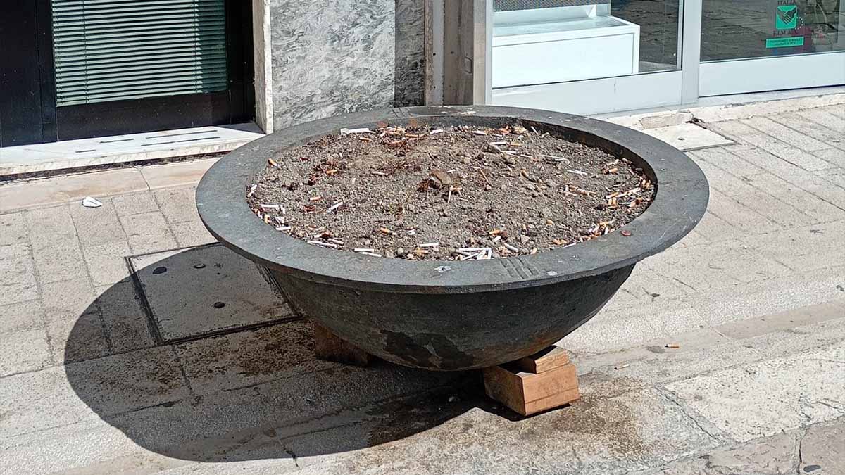 Manfredonia, Marasco: “Perchè non eliminare questi vasi della vergogna in Corso Manfredi?” Manfredonia, Marasco: “Perchè non eliminare questi vasi della vergogna in Corso Manfredi?”