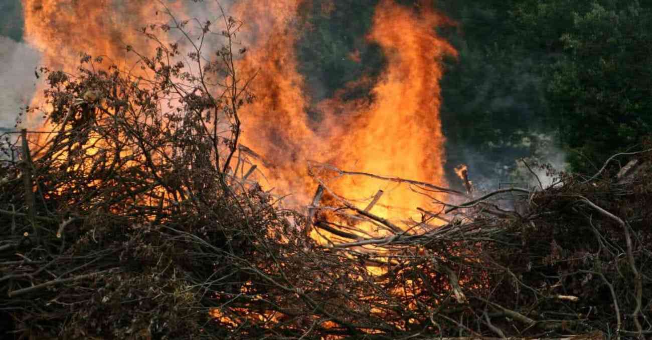 Vieste, dà fuoco alle sterpaglie e provoca incendio: denunciato uno straniero Vieste, dà fuoco alle sterpaglie e provoca incendio: denunciato uno straniero