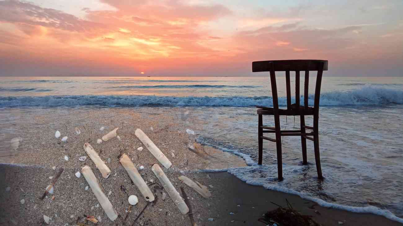 Che fine hanno fatto i cannolicchi sulle spiagge di Manfredonia? Che fine hanno fatto i cannolicchi sulle spiagge di Manfredonia?