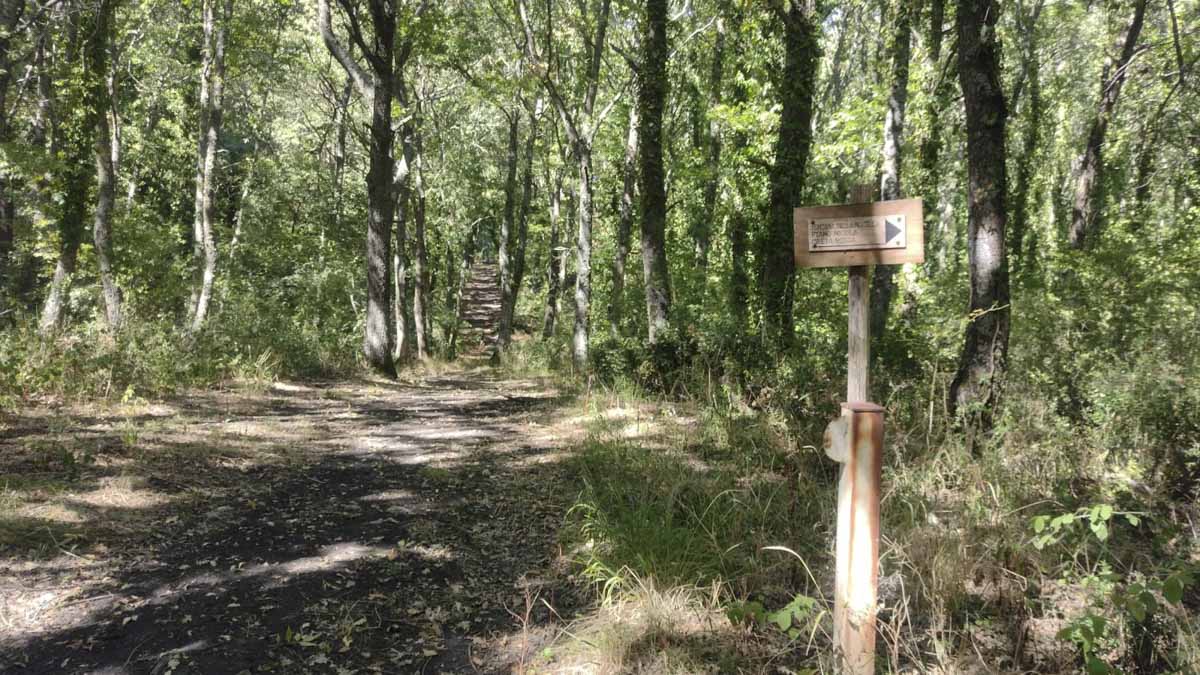 Passeggiate, trekking e bike: Deliceto inaugura un nuovo sentiero nella natura Passeggiate, trekking e bike: Deliceto inaugura un nuovo sentiero nella natura