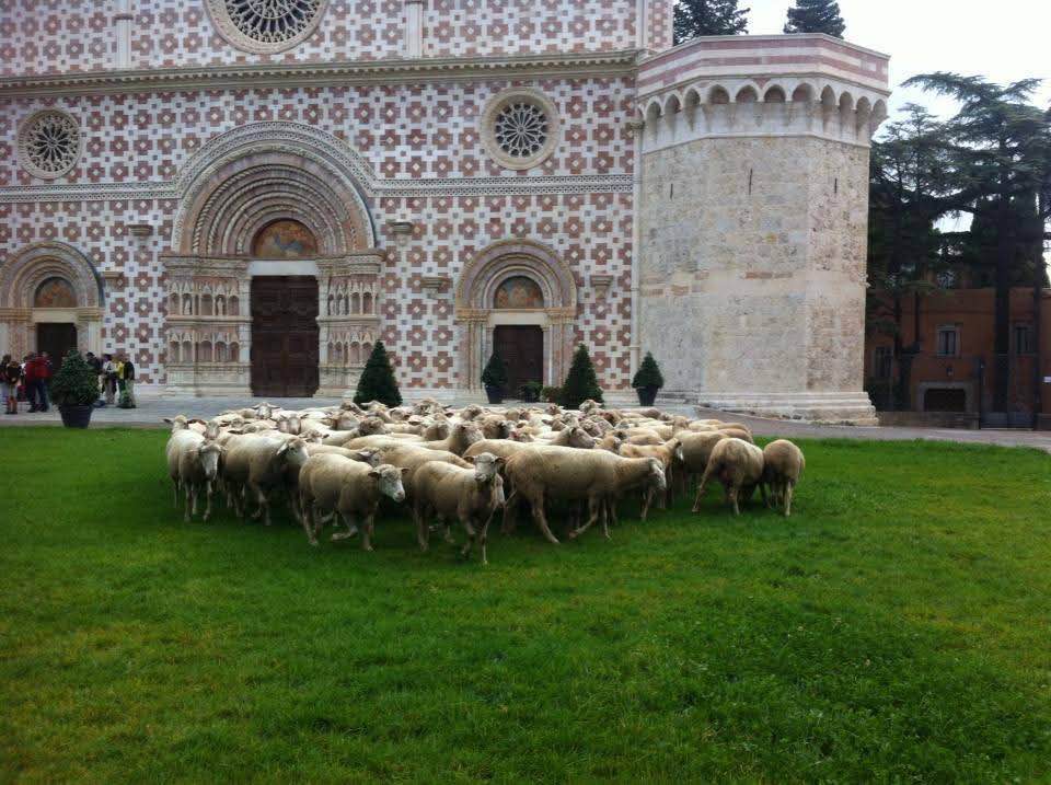 L’Aquila ospita il “Festival del Tratturo” e il “Premio Letterario Internazionale Il Tratturo Magno” L’Aquila ospita il “Festival del Tratturo” e il “Premio Letterario Internazionale Il Tratturo Magno”