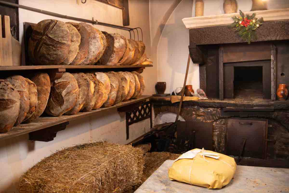 Orsara celebra i 500 anni del forno a paglia più antico della Puglia Orsara celebra i 500 anni del forno a paglia più antico della Puglia