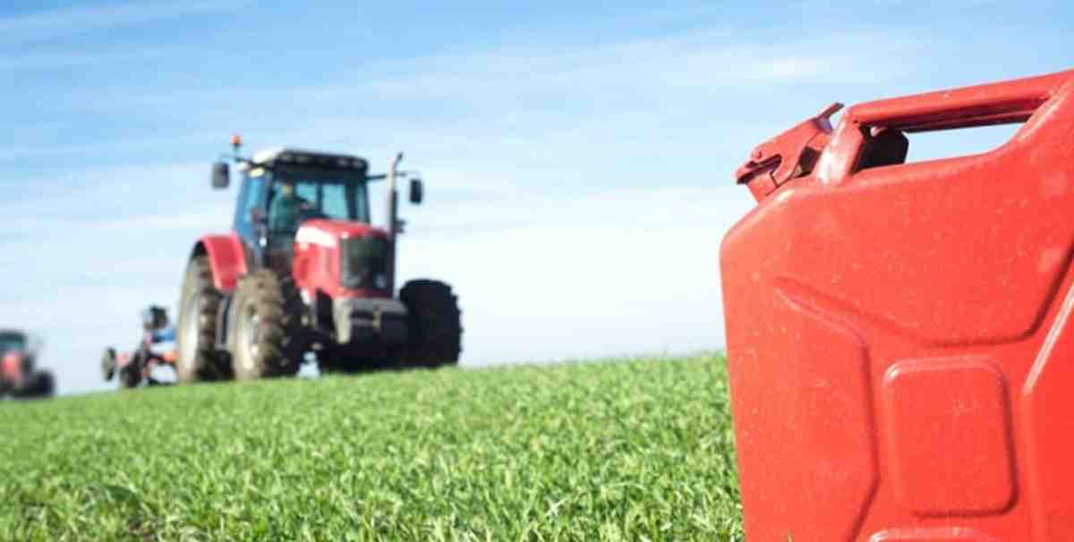 Gasolio e fertilizzanti alle stelle: l’ASP Zaccagnino lancia l’allarme per l’agricoltura in Capitanata Gasolio e fertilizzanti alle stelle: l’ASP Zaccagnino lancia l’allarme per l’agricoltura in Capitanata