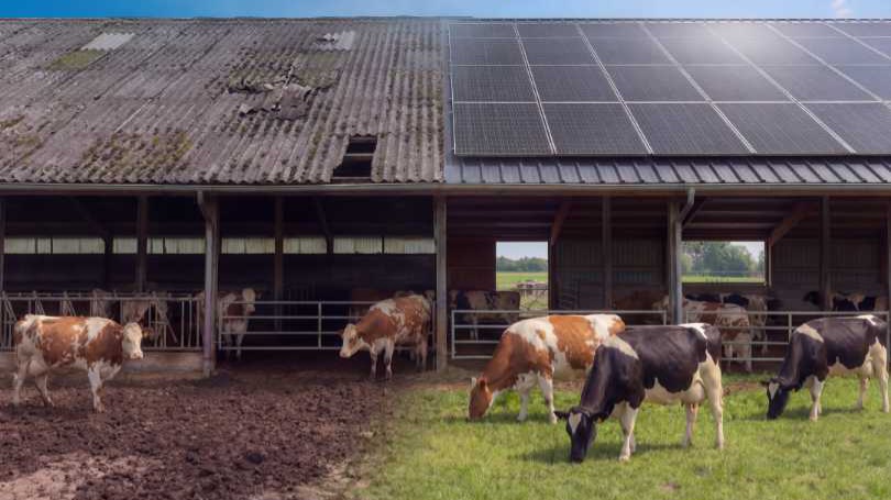 Bando Agrisolare: scatta la corsa all’80% a fondo perduto. L’ingegneria pugliese scende in campo per le aziende agricole. Bando Agrisolare: scatta la corsa all’80% a fondo perduto. L’ingegneria pugliese scende in campo per le aziende agricole.