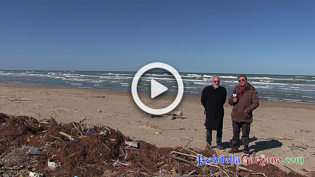 Plastica in mare, la spiaggia di Foce Varano inquinata dalle retine da pesca Inquinamento retine di plastica Foce Varano