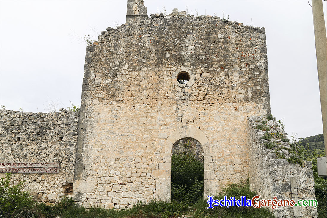 I giovani di Ischitella si incontrano per il patrimonio culturale: idee e proposte per ripartire Chiesa di San Pietro in Cuppis