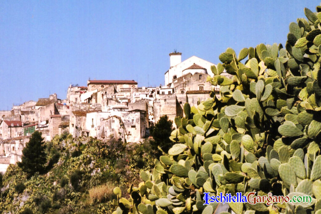 Sagra del Pesce - Cagnano Varano