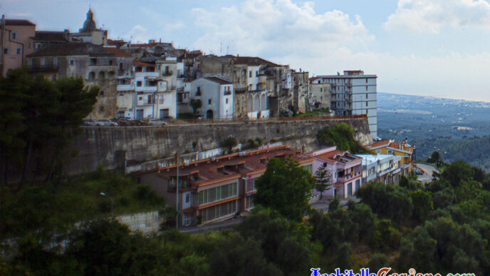 Ischitella