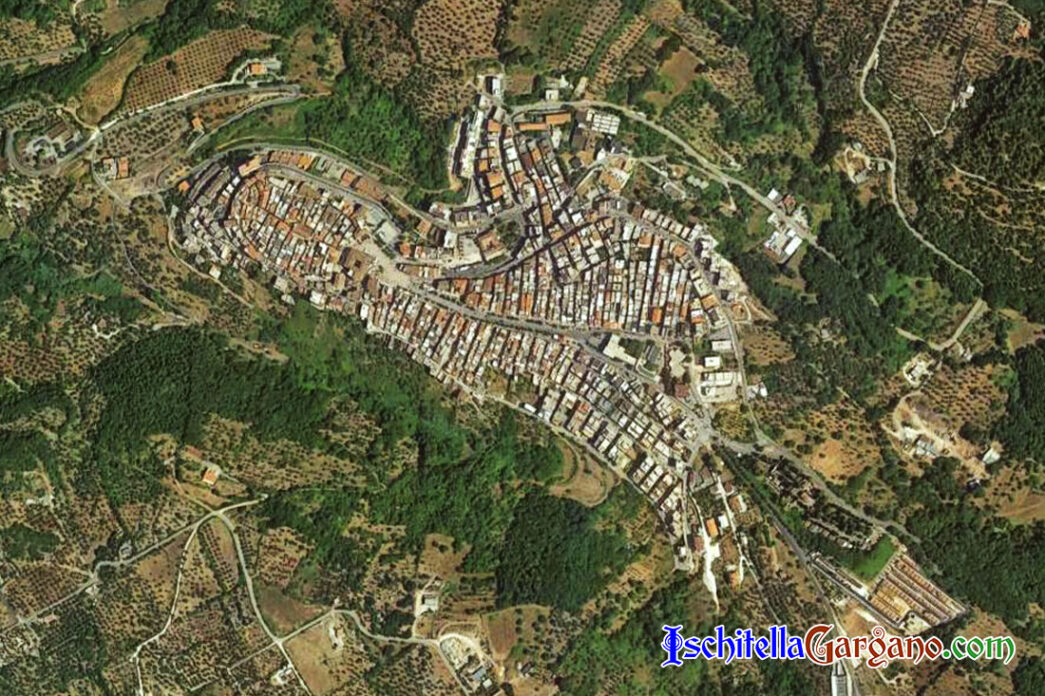 Ischitella