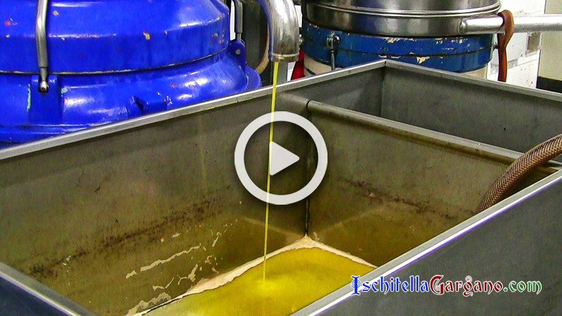 produzione-olio Frantoio Oleario Antesi