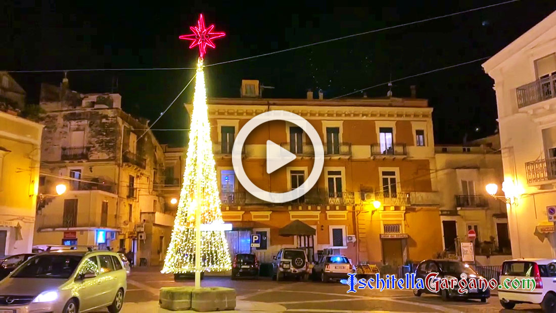 Aria di festa a Carpino, acceso l’albero di Natale in piazza – FOTO e VIDEO Carpino albero di Natale