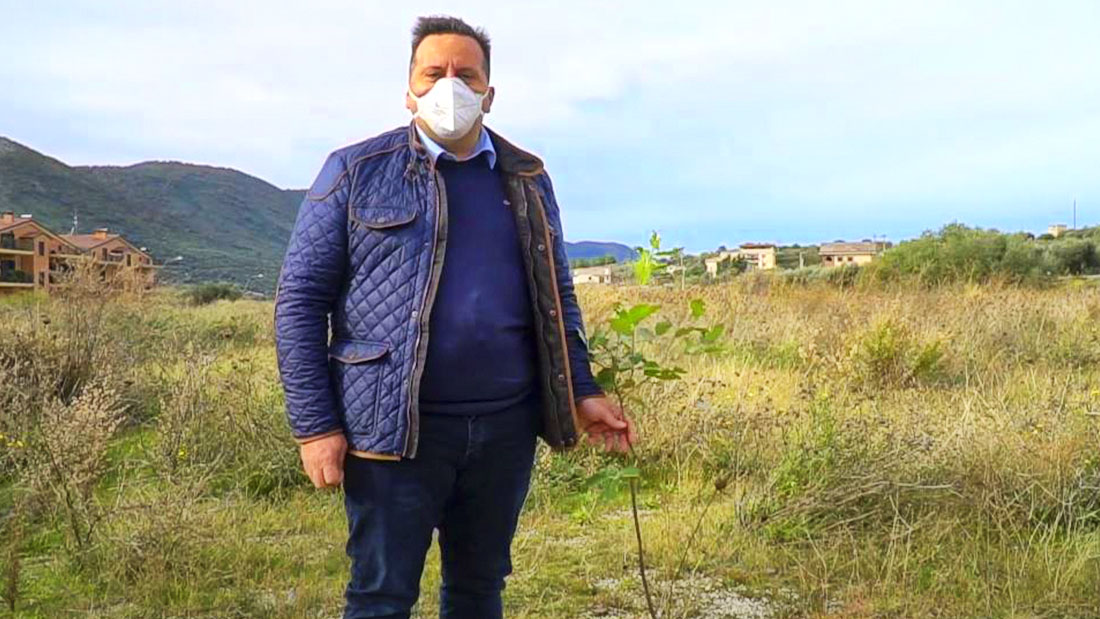 Un polmone verde per Cagnano: 3000 nuovi alberi per contrastare incendi e erosioni Sindaco Michele Di Pumpo