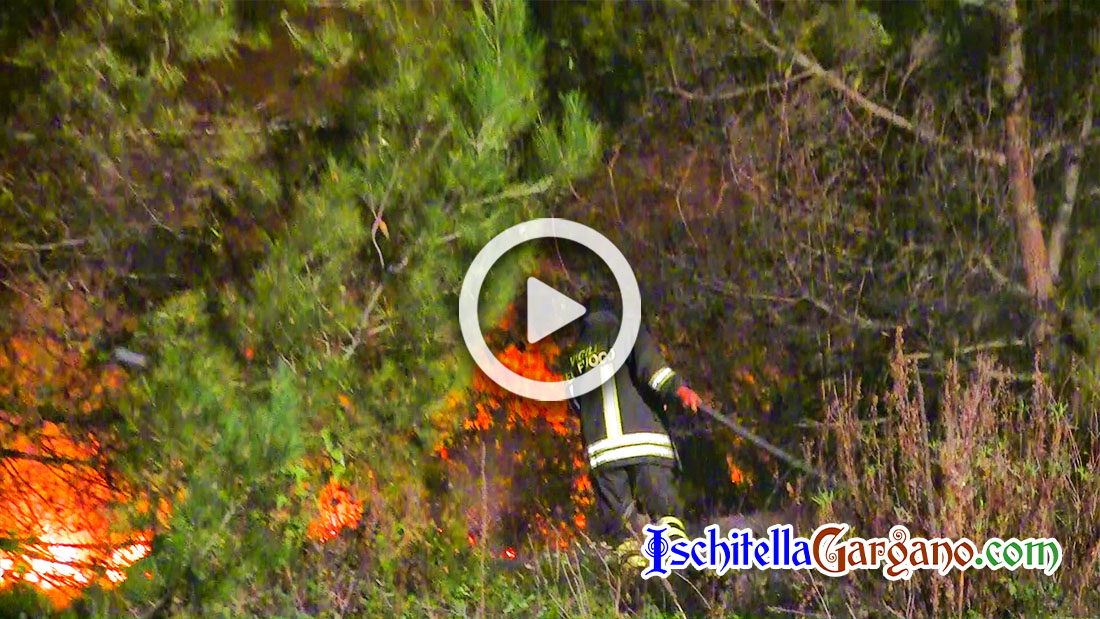 Ischitella, vasto incendio ad Isola Varano: si segue la pista dolosa Incendio Isola Varano