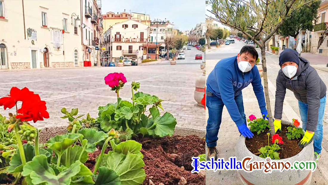 Ischitella più bella con “PianTIamo”. L’iniziativa della Proloco Uria per un paese più floreale Ischitella più bella con “PianTIamo”. L’iniziativa della Proloco Uria per un paese più floreale