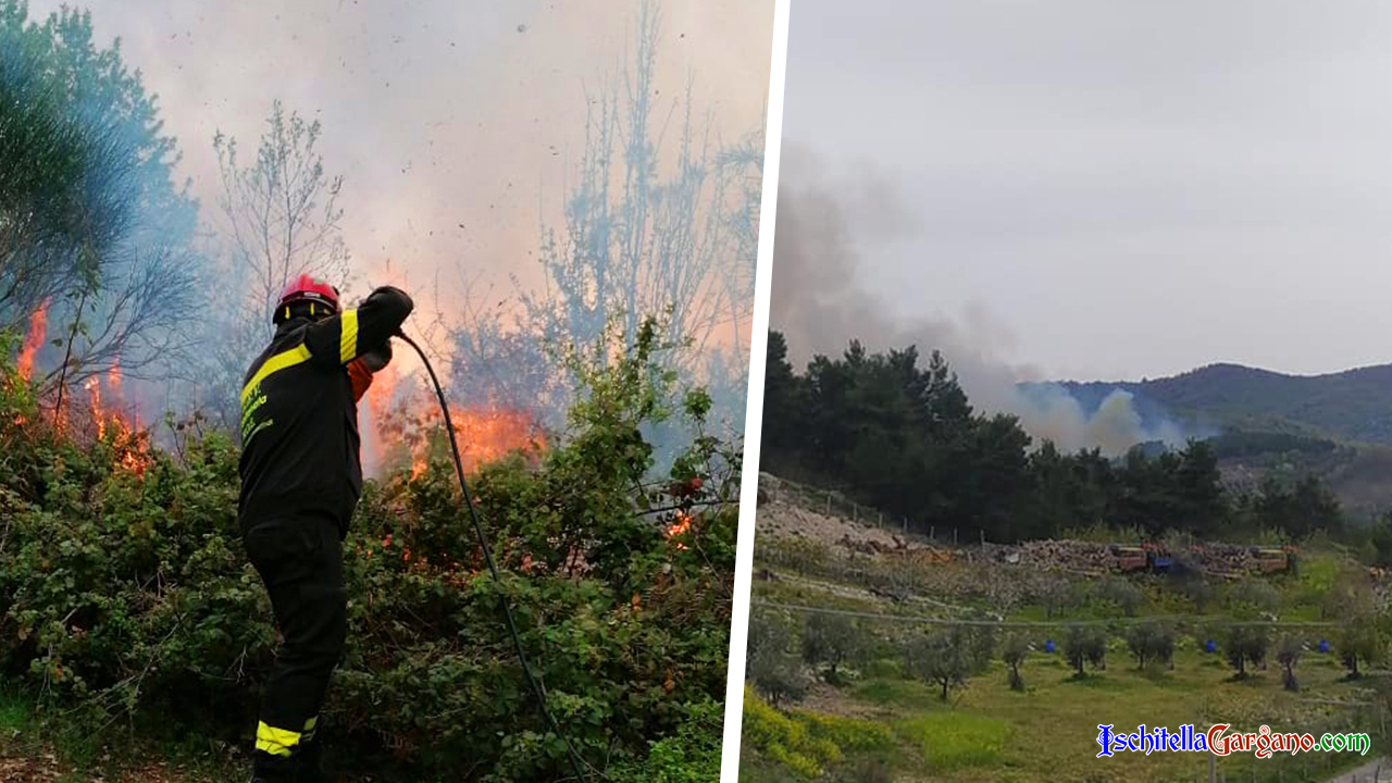 Vico del Gargano: grosso incendio in località Coppa della Guardia zona Foresta Umbra Vico del Gargano: grosso incendio in località Coppa della Guardia zona Foresta Umbra