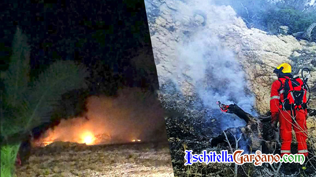 Vieste, spenti tre incendi in un giorno grazie ad un grande lavoro di squadra Incendio Vieste