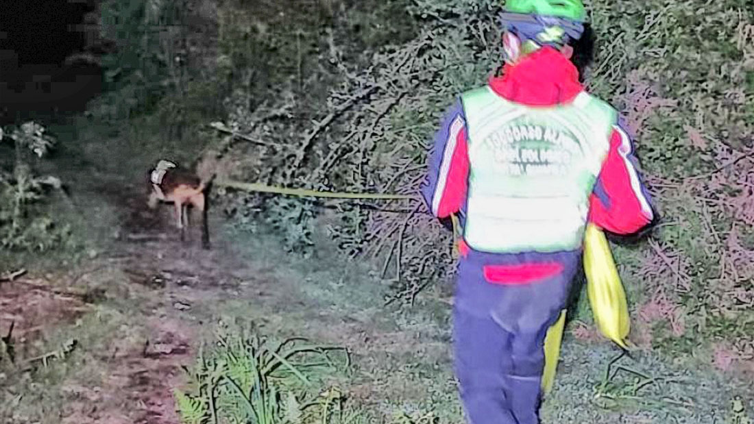 Anziano disperso in Foresta Umbra, la ricerca continua senza sosta Soccorso Alpino e Speleologico - Puglia