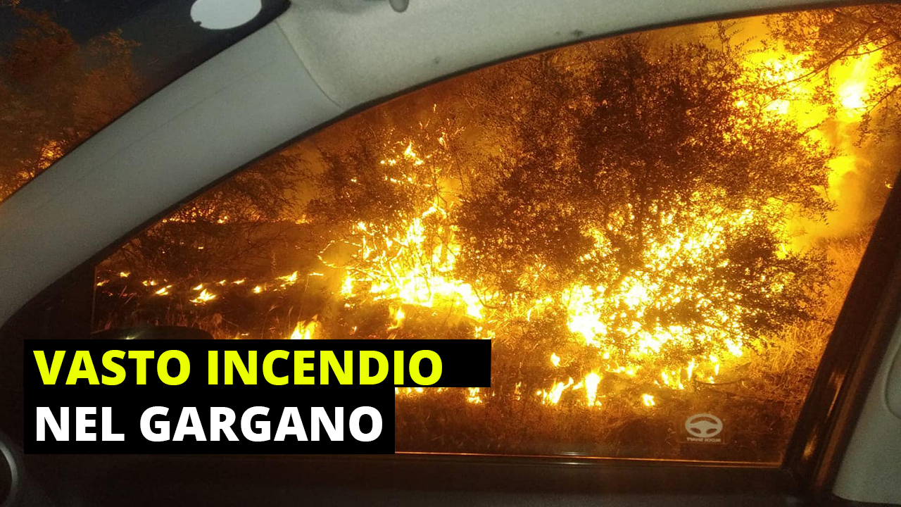 Vasto incendio nel Gargano, complice il forte vento Vasto incendio nel Gargano, complice il forte vento