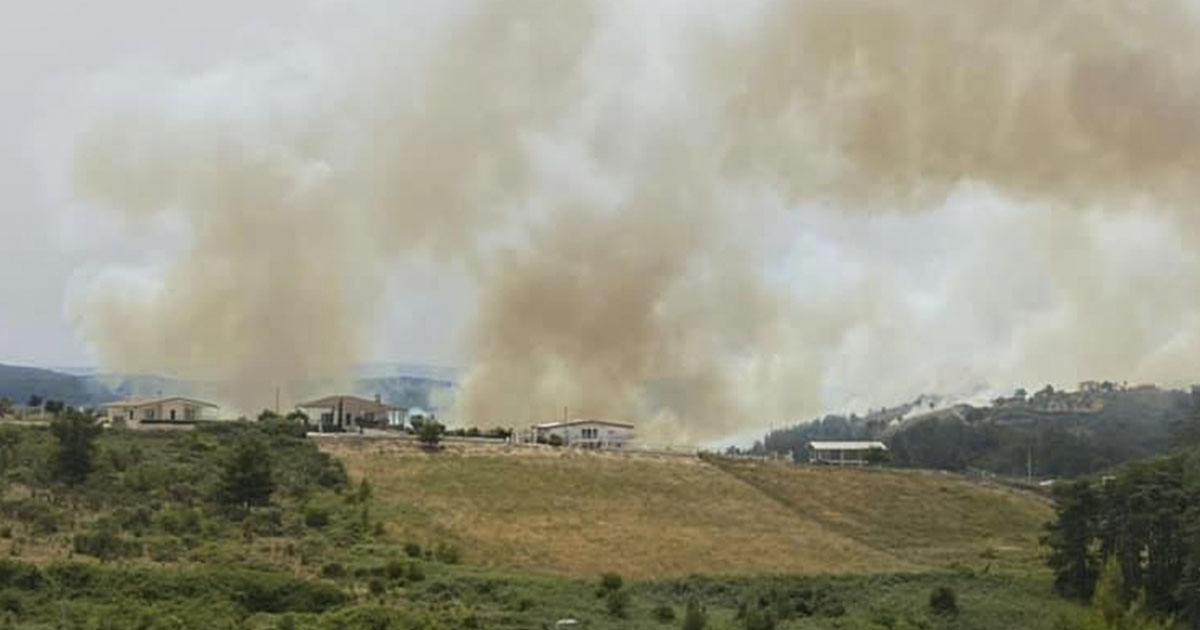 Incendio, paura a Vico del Gargano: fuoco a ridosso delle case, deposito bus e un frantoio Incendio Vico del Gargano