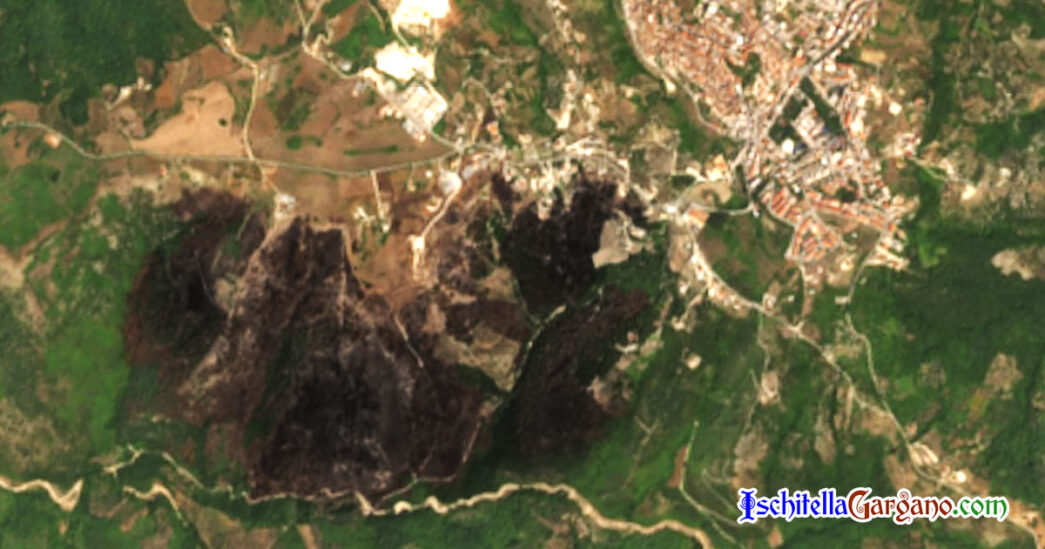 Incendio Vico Satellite