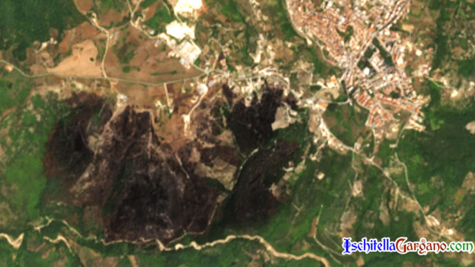 Incendio Vico Satellite
