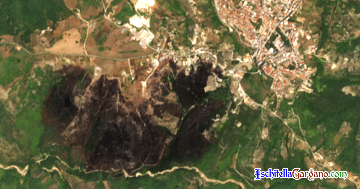 Incendio Vico del Gargano, la foto da satellite è impressionante Incendio Vico Satellite