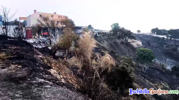 Spento incendio Vico del Gargano