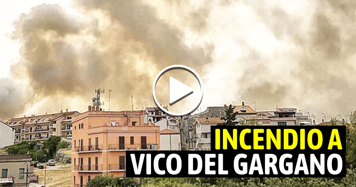 Incendio ai piedi di Vico del Gargano. Canadair in azione per spegnere le fiamme Incendio Vico del Gargano