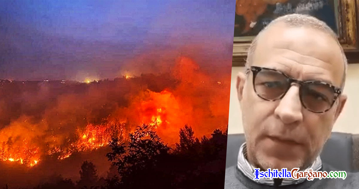 “Vico ce l’ha fatta ma il costo da pagare è stato alto” le parole del Sindaco Sementino Sementino incendio