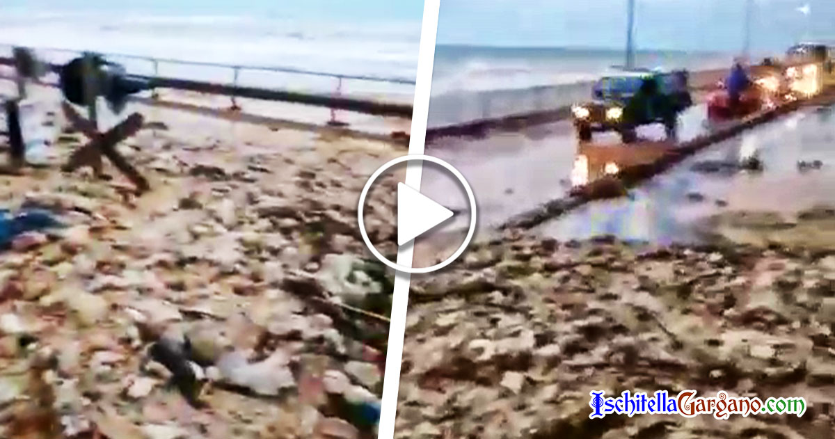 Bomba d’acqua sul Gargano. Fango e detriti tra Rodi Garganico e San Menaio (VIDEO) Bomba d’acqua sul Gargano. Fango e detriti tra Rodi Garganico e San Menaio (VIDEO)