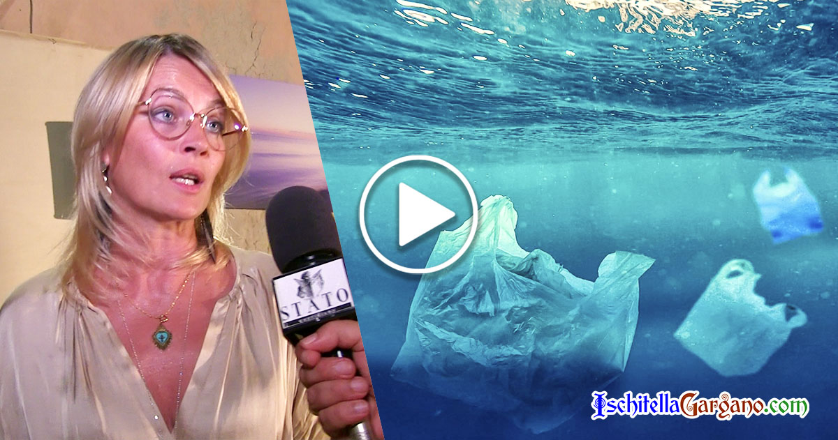 “Un mare di plastica”: ecco lo stato di salute del nostro Adriatico Lucrezia Cilenti
