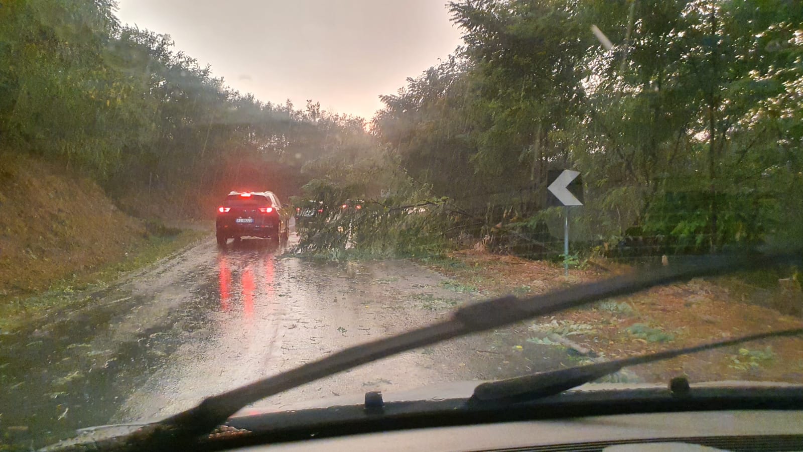 Maltempo, disagi sul Gargano nord per forti piogge Maltempo, disagi sul Gargano nord per forti piogge
