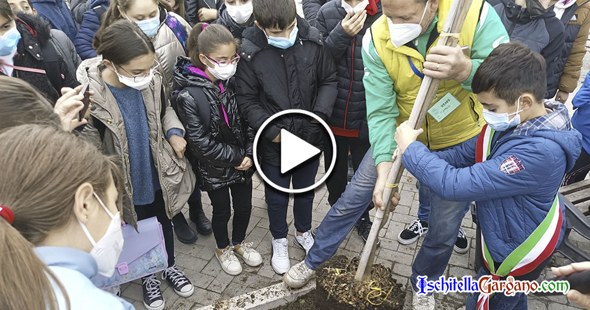 Festa dell’Albero ad Ischitella: piantati alberi dai ragazzi delle scuole Festa dell’Albero ad Ischitella: piantati alberi dai ragazzi delle scuole