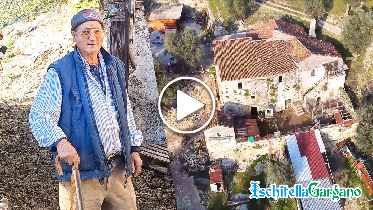 L’antica Masseria Forchione: “La mia famiglia la vive da oltre cent’anni” L’antica Masseria Forchione: “La mia famiglia la vive da oltre cent’anni”
