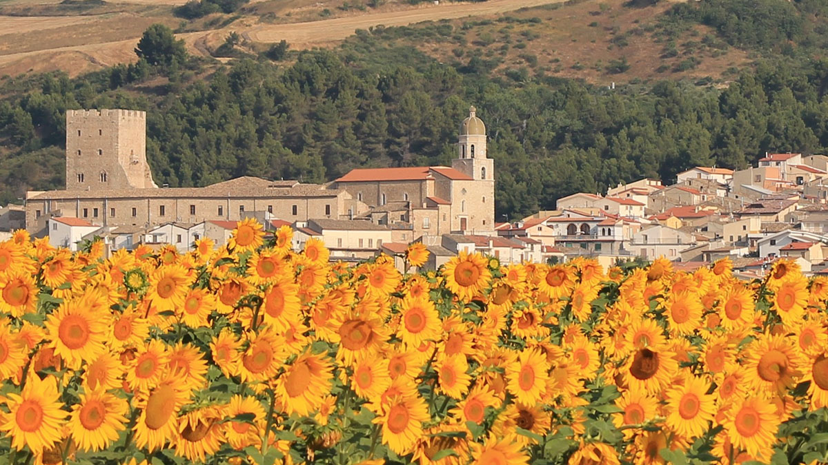 Torna la “Corsa di Sant’Alberto” a Pietramontecorvino Torna la “Corsa di Sant’Alberto” a Pietramontecorvino