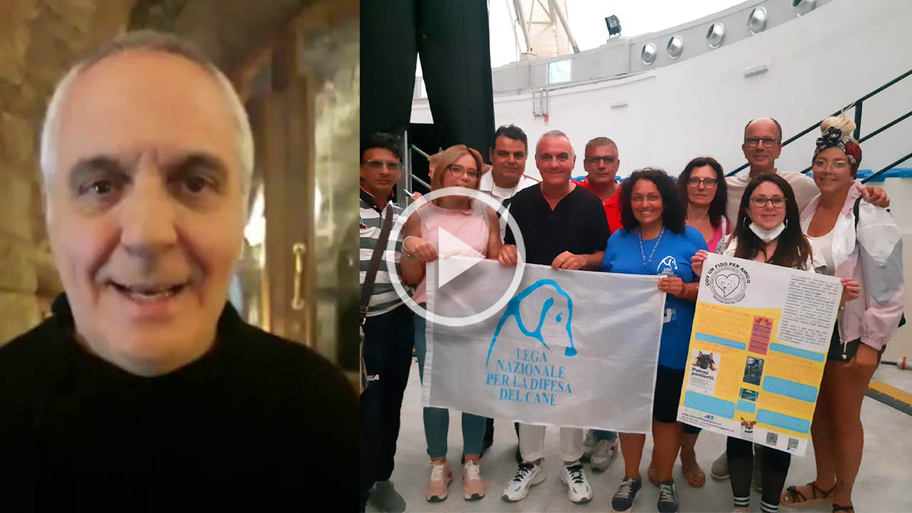 copertinapanariellovicovideo