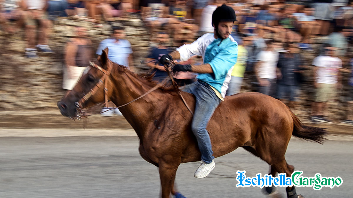 palio-san-rocco-carpino