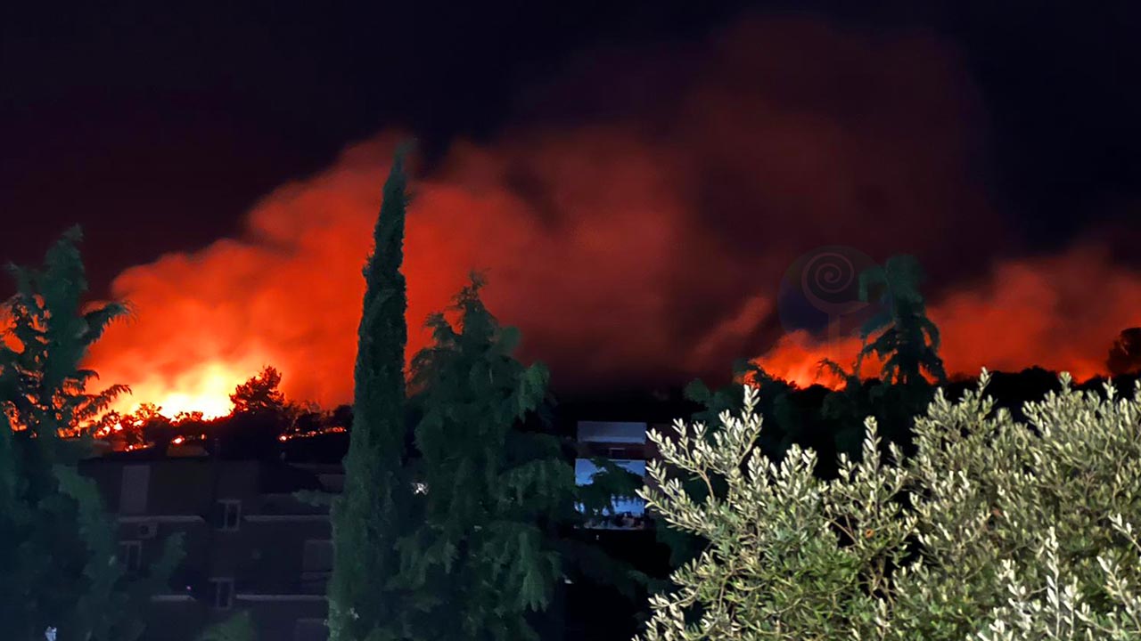 Fiamme vicino alle abitazioni, enorme incendio a Carpino Fiamme vicino alle abitazioni, enorme incendio a Carpino