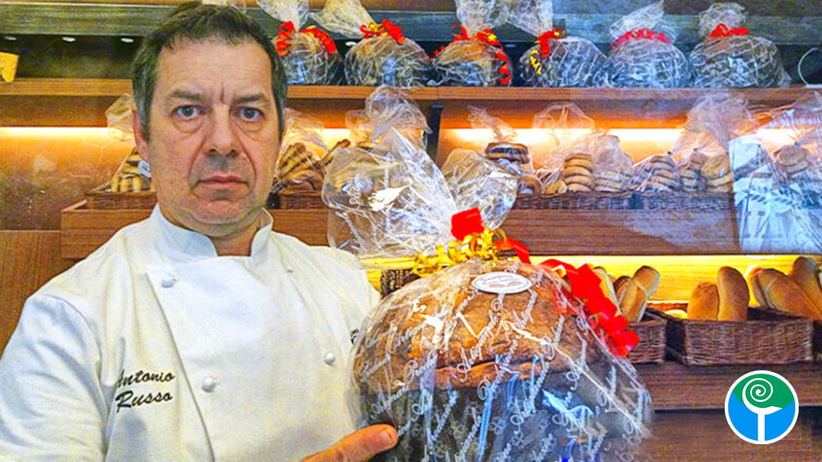 Il panettone del Panificio Russo: una vera delizia artigianale per le feste di Natale Il panettone del Panificio Russo: una vera delizia artigianale per le feste di Natale