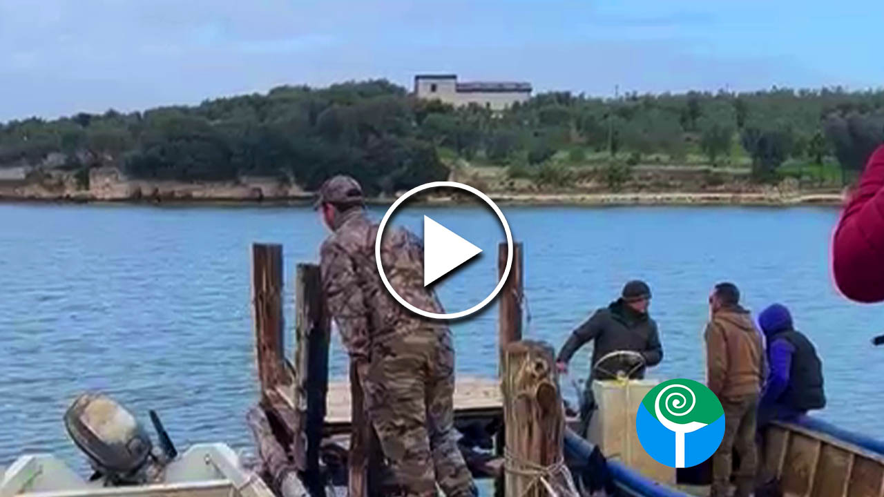 Pescatore scomparso nel Lago di Varano, ricerche in corso nella nebbia (VIDEO) Pescatore scomparso nel Lago di Varano, ricerche in corso nella nebbia (VIDEO)